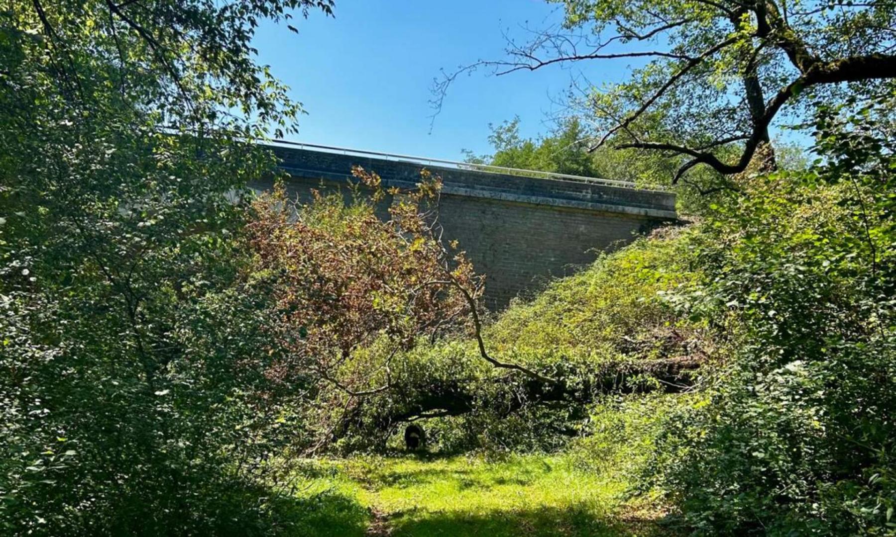 Chemin de halage midouze (2).jpg