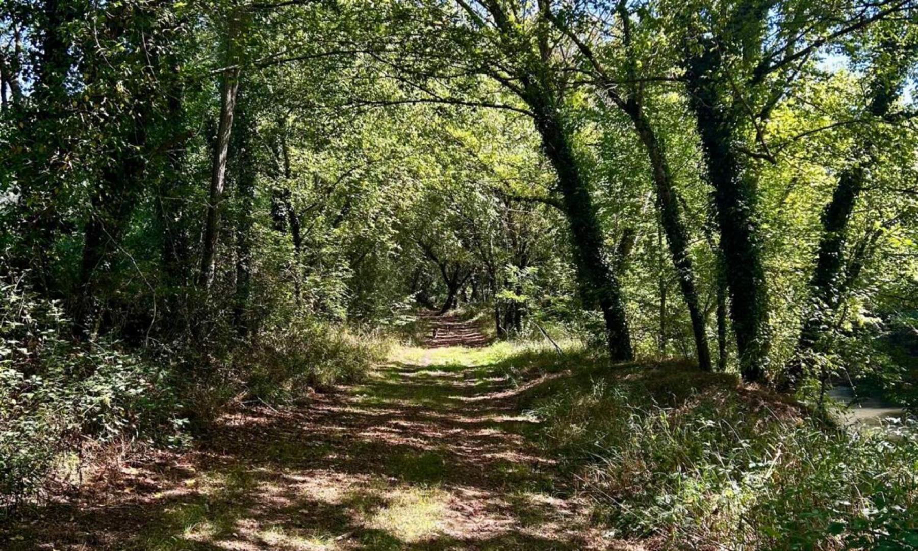 Chemin de halage midouze (6).jpg