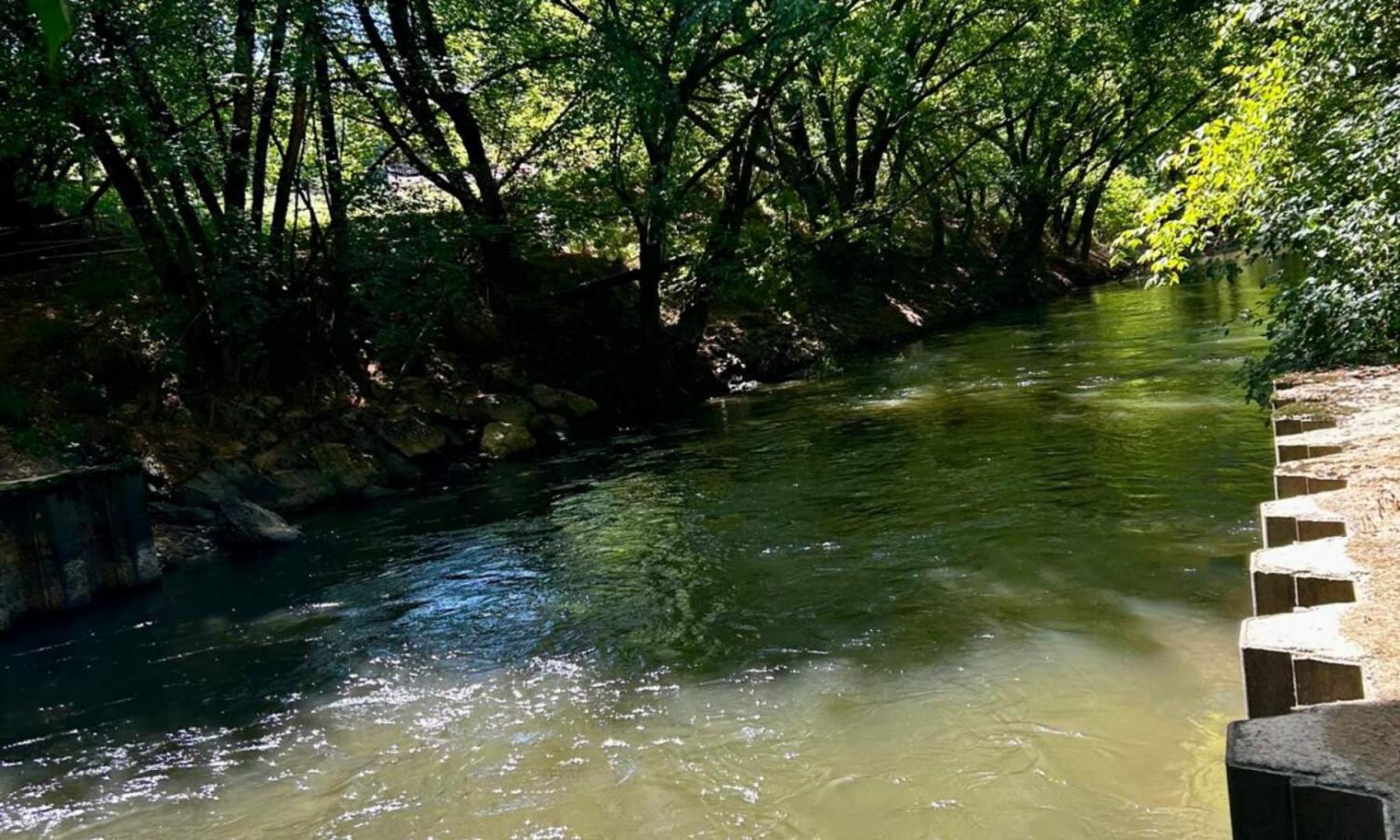 Chemin de halage midouze (8).jpg