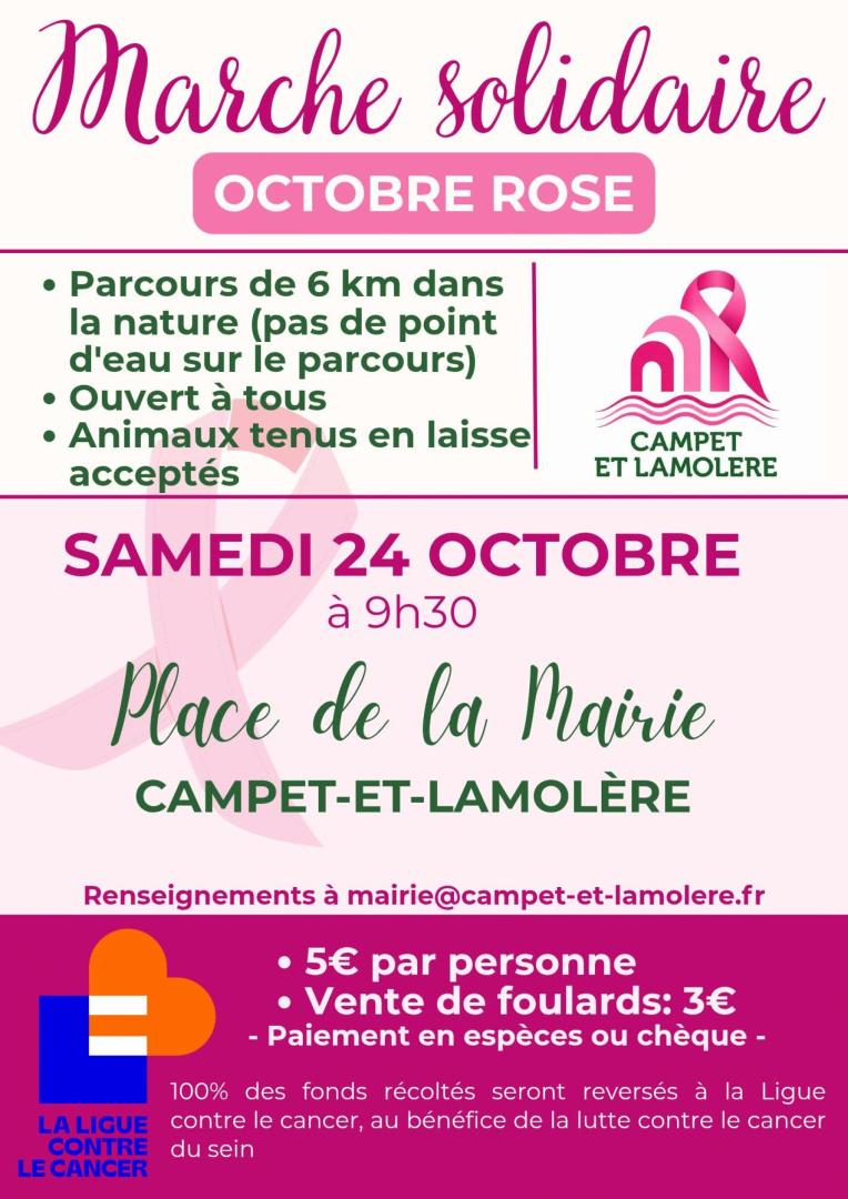 Affiche marche octobre rose