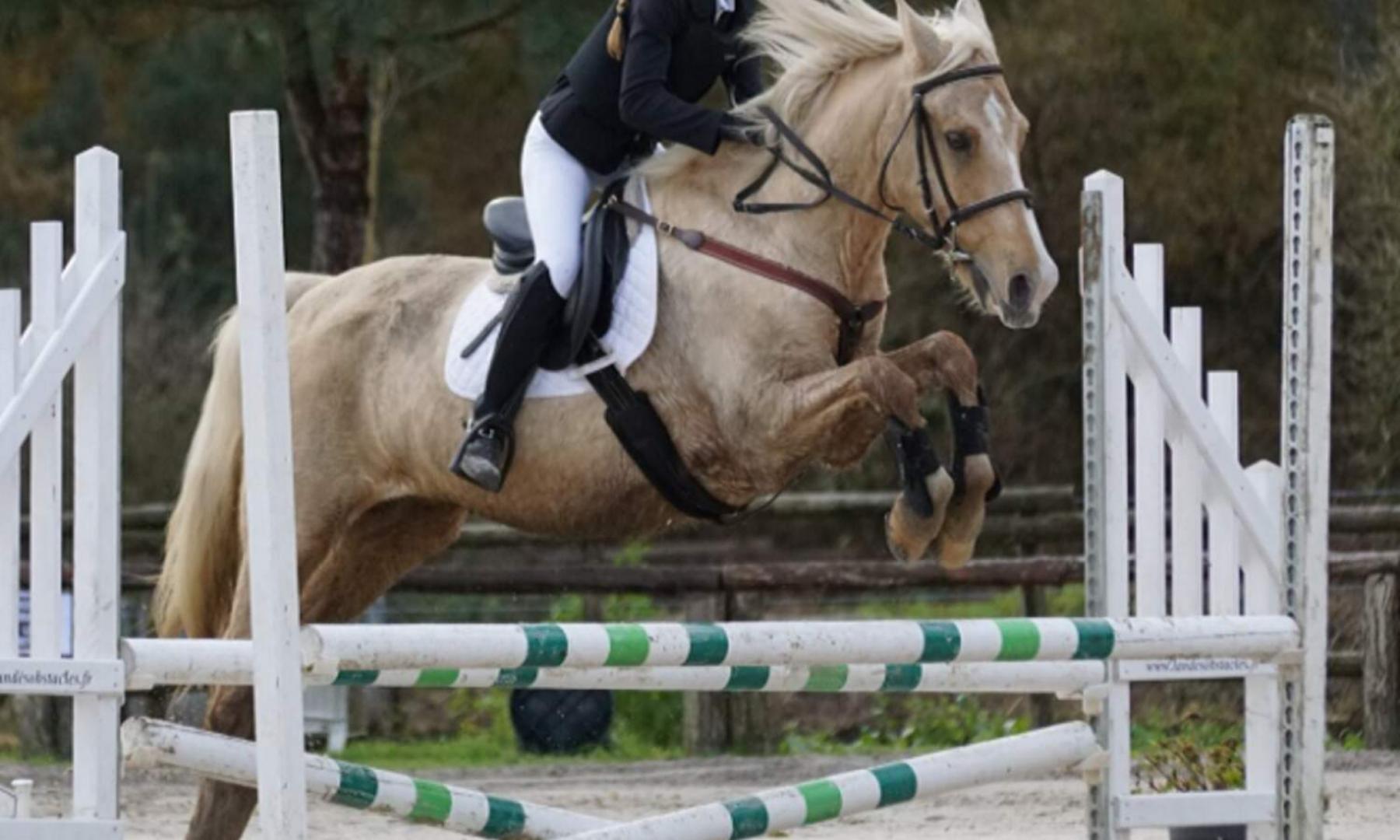 Centre equestre (1).jpg