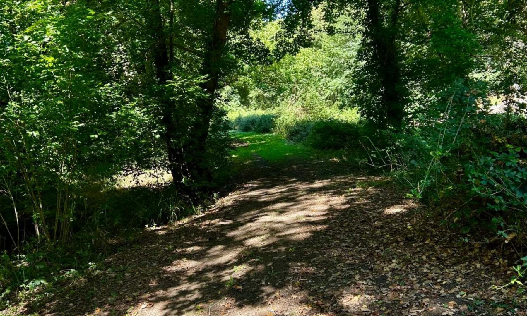 Chemin de halage midouze (4).jpg