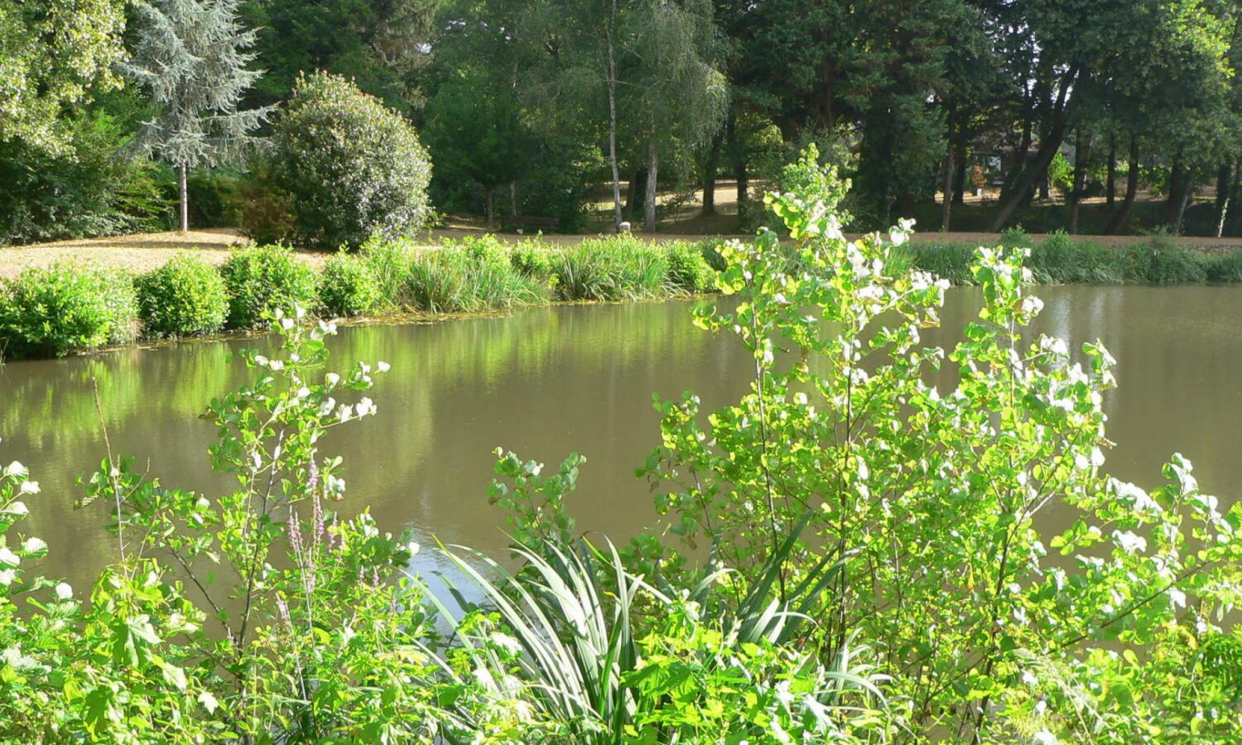 L'étang (6).jpg