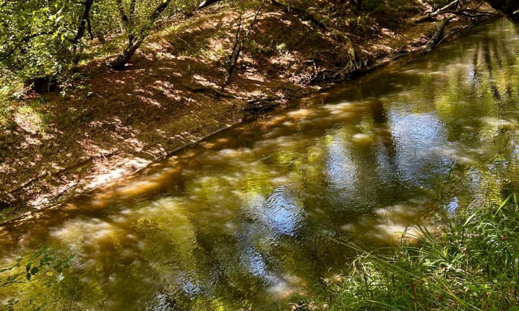 Chemin de halage midouze (3).jpg